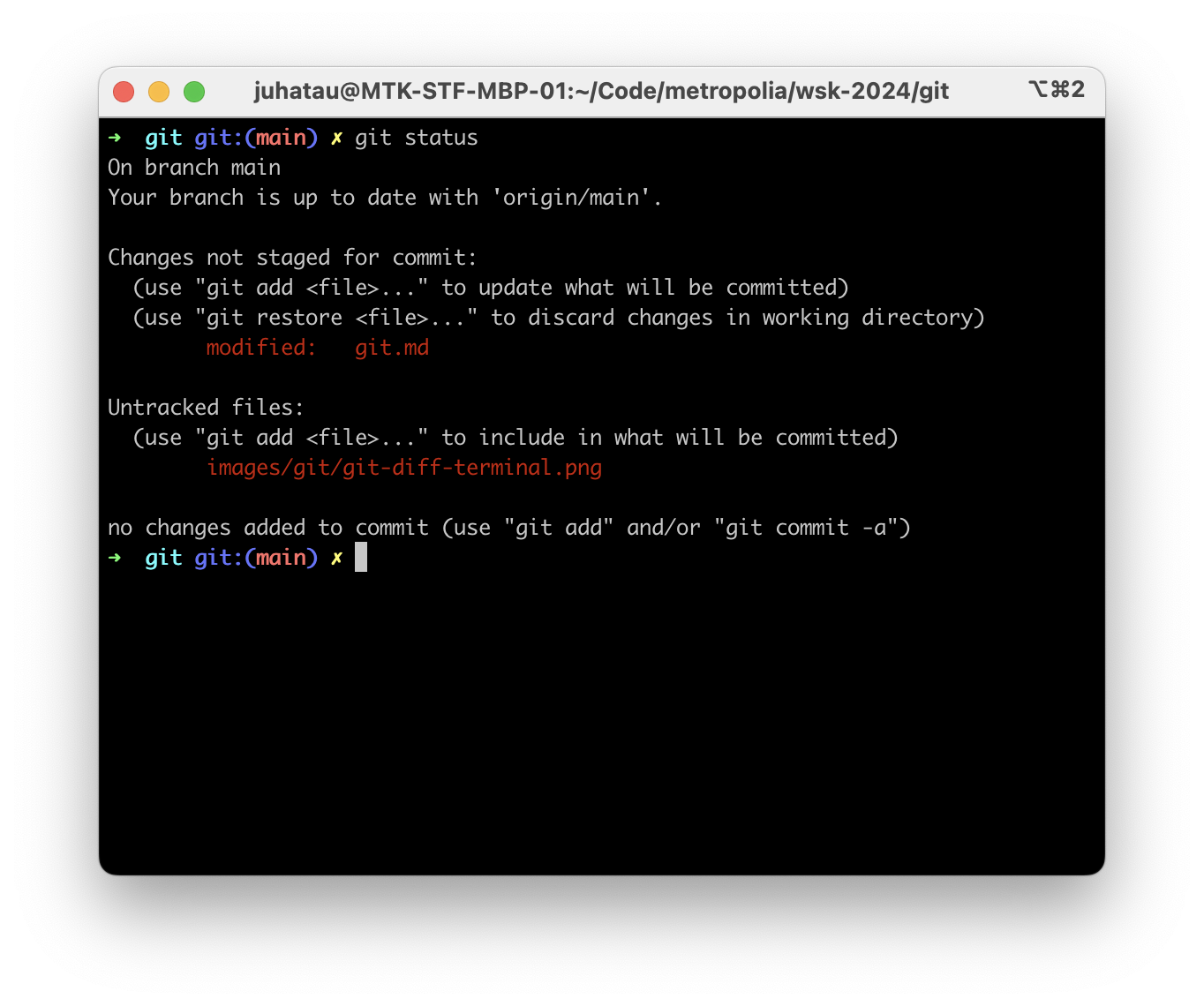 Terminal git status