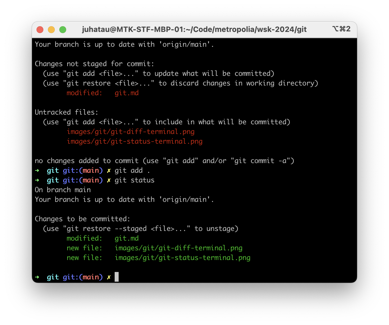 Terminal git status after git add